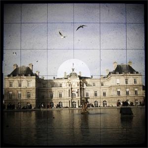 Plus de dents, mais plein de sagesse by C L