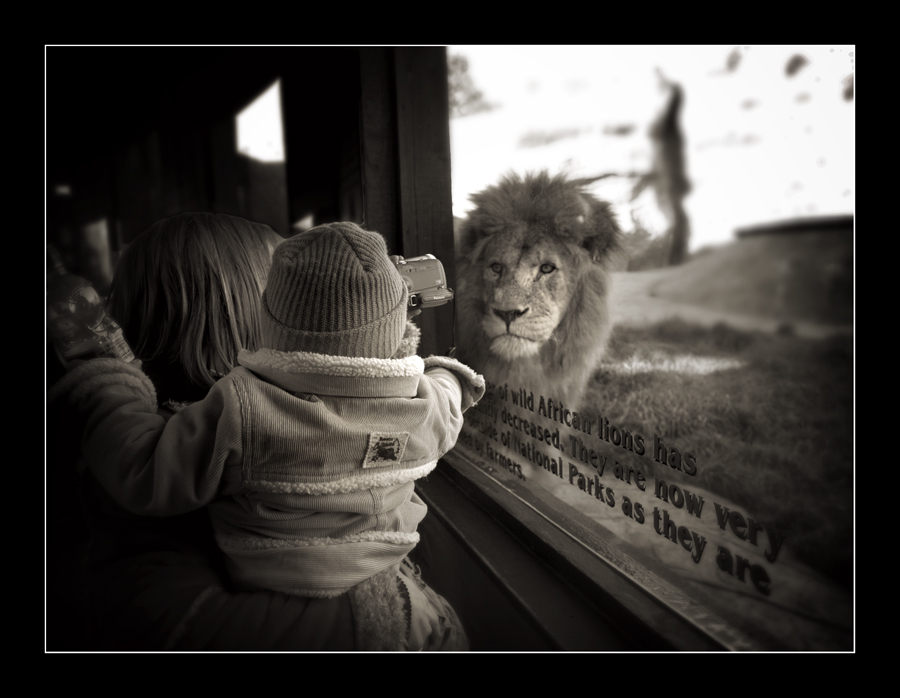 Watching the Watchers, photography by David Kennedy. Olympus E1 Zuiko 14-54 lens. In People, Portrait