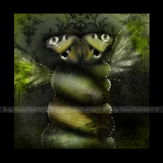 Mariposa, processing by Evelyn Dumont. http://colorsofpoulili.blogspot.com. illustration num&eacute;rique. In Nature, Animal
