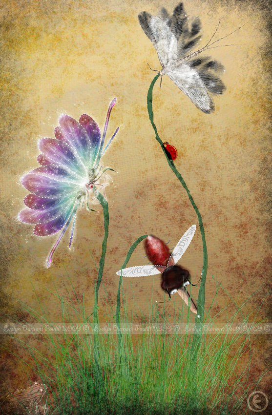 Cherchez La Petite Bete, processing by Evelyn Dumont. http://colorsofpoulili.blogspot.com. illustration num&eacute;rique. In Nature, Animal, Insect