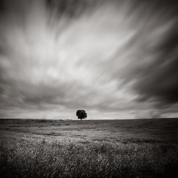 Just some wind... by Thierry Vercampt