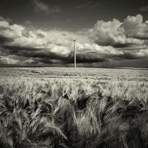 Eoliennes study II by Thierry Vercampt