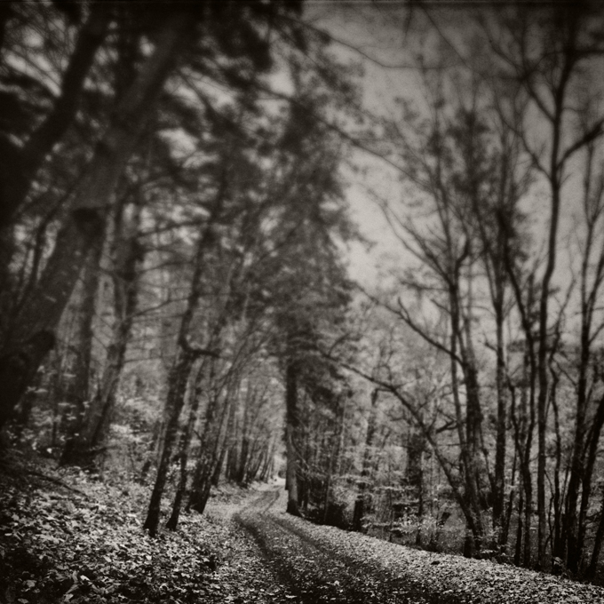 Mogwai - "Hunted by a freak" ► http://www.deezer.com/track/948040. canon 40D. fx/toning in PS. In Nature, Scenery. Hunted by a freak, photography by P.o. V.. Image #110004