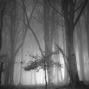 Stand By Me by Bruno Blais