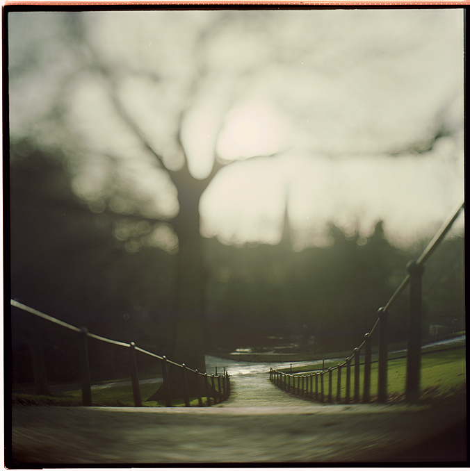 On Thoughts, photography by Vladimir Longauer. 
 Fuji Superia
 Developed in Rollei Digibase C-41, 3.15 min Jobo CPA-2
 
Photograph is for sale:
http://www.etsy.com/listing/72105696/dublin-phoenix-park-aka-on-thoughts. Pentacon Six. In Construction, Place, Garden, park