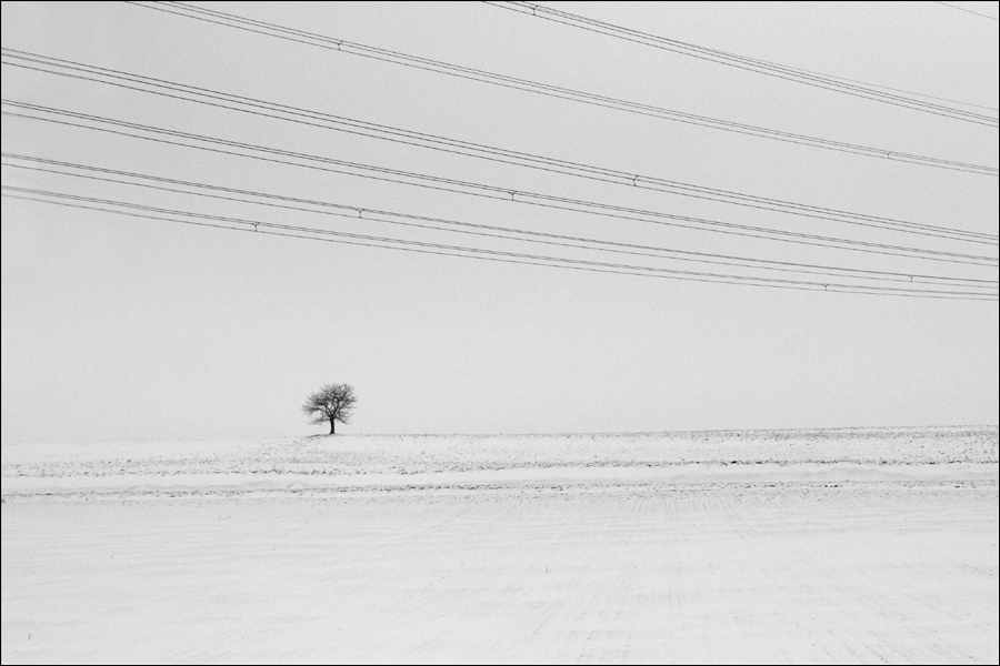 A journey by train, photography by Rachel. Paris / Clermont-Ferrand by train. CANON EOS 350 D. F/5.0, 50mm, ISO 400, 1/3200 second. In Nature, Scenery