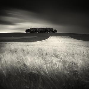 Errance IV by Philippe Mougin
