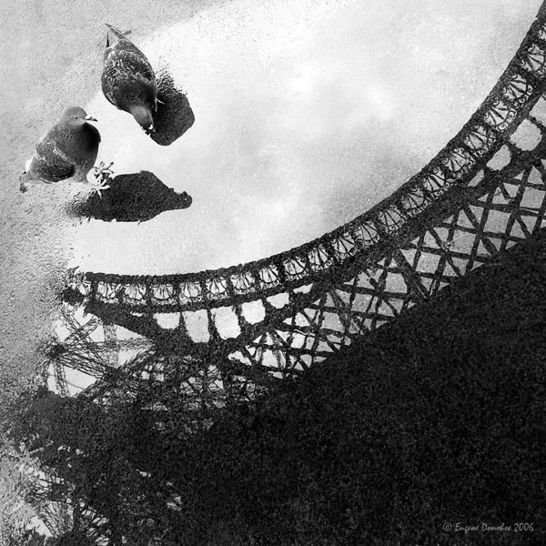 Parisienne Walkways #5, photography by Eugene Donohoe. Well I guess that we'll always have Paris and this has got to be the start of a beautiful friendship ...... always did love that movie ...... In Construction