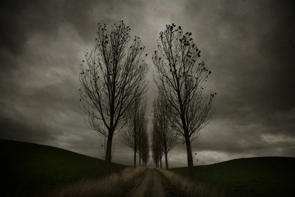 June 27Th, photography by Mark Hamilton. Canon EOS 1Ds  Canon 16-35 f2.8L. In Nature, Scenery, Countryside