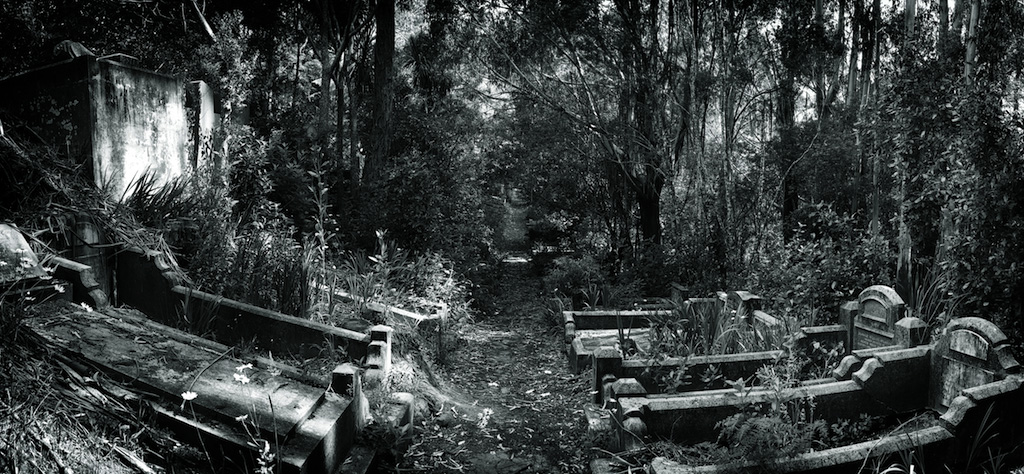 Karori II, photography by Mark Hamilton. Canon Eos1D Mk IV Canon EF 16-35 2.8L. In Construction, Place, Cimeterie