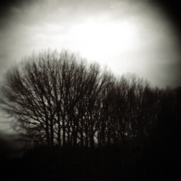 Everything Beautiful Is Far Away, photography by Mark Hamilton. Holga. In Nature, Scenery