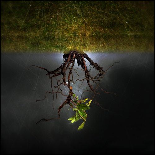 Living Down Under, photography by Mark Hamilton. Canon EOS 1Ds MKII