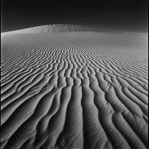 Sans Titre by Luis Henriques