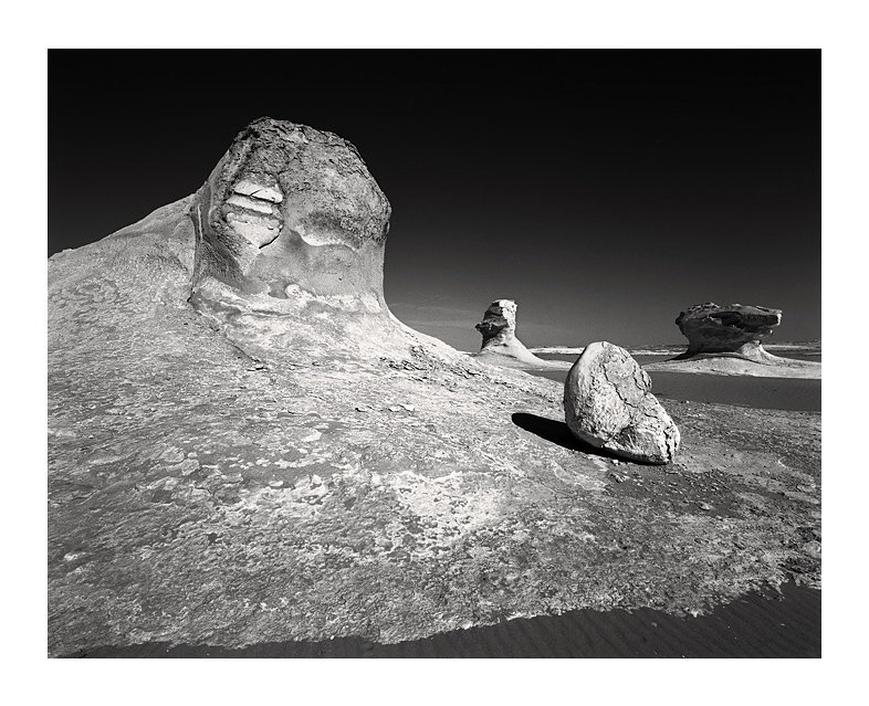 Sans Titre, Artwork by Luis Henriques. ebony 4x5, 80mm