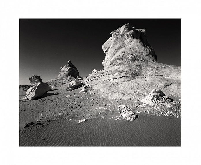 Sans Titre, Artwork by Luis Henriques. Ebony 4X5, 58mm, T-max 100