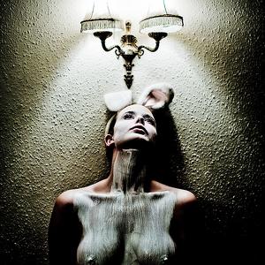 Rabbit in Lights by Andrew Farrington
