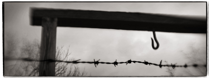 auschwitz birkenau 1, photography by Steve Deer. In Nature