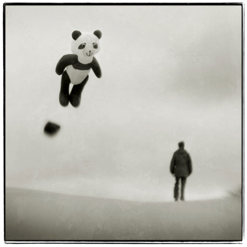 kite, photography by Steve Deer. In Nature, Scenery