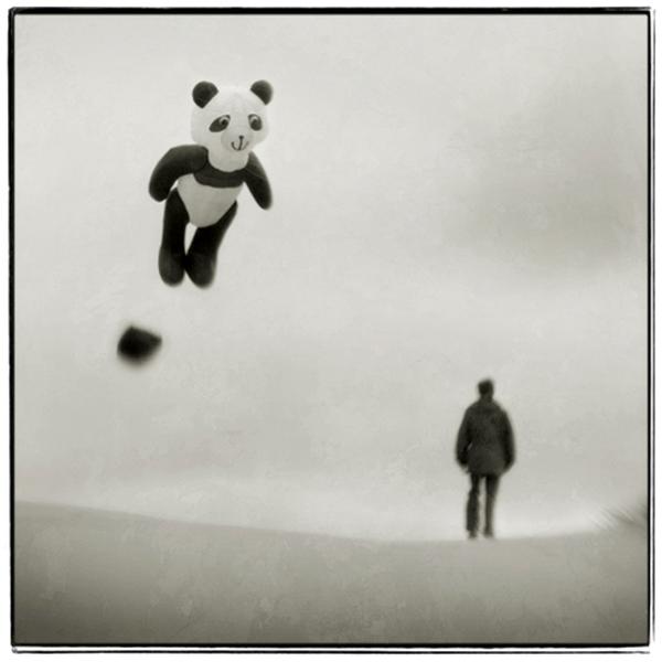 kite by Steve Deer