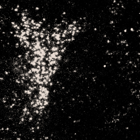 Shining stars..., Artwork by Editor Art Limited. Carl Zeiss Axioskop Dark Field / Camera refroidie MicroMAX-1300Y-HS. Metamorph