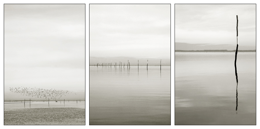 Epures...  ..1.2.3.., photography by Thierry Magniez. D200. Passage en n&b avec virage. In Nature, Scenery, Waterscape