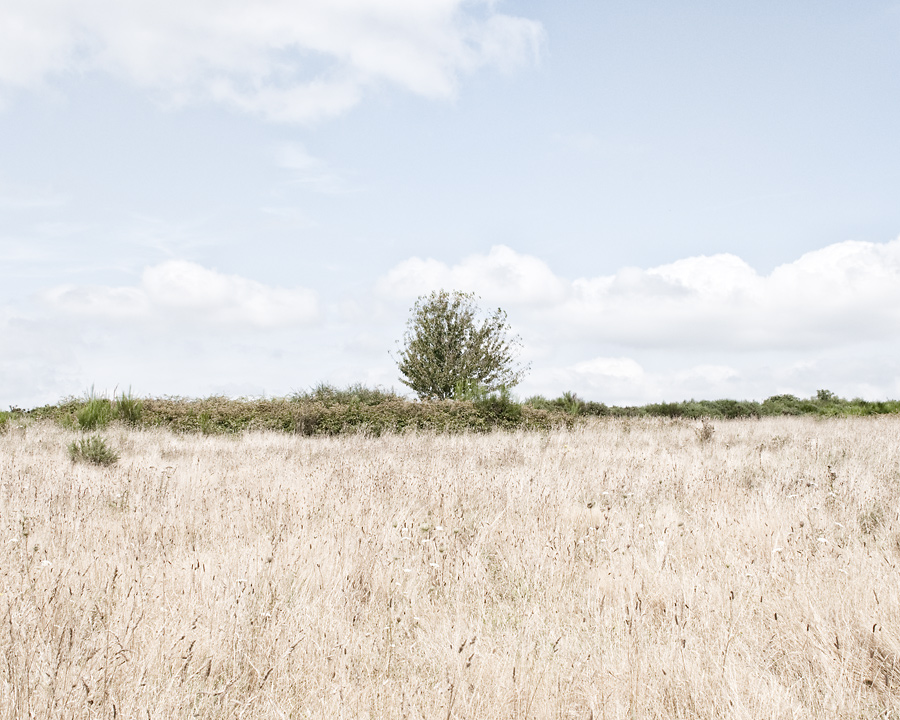 In Nature, Scenery, Countryside. Landes #3, photography by Thierry Magniez. Image #381348