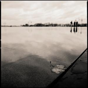 La feuille et les 3 photographes... by Thierry Magniez