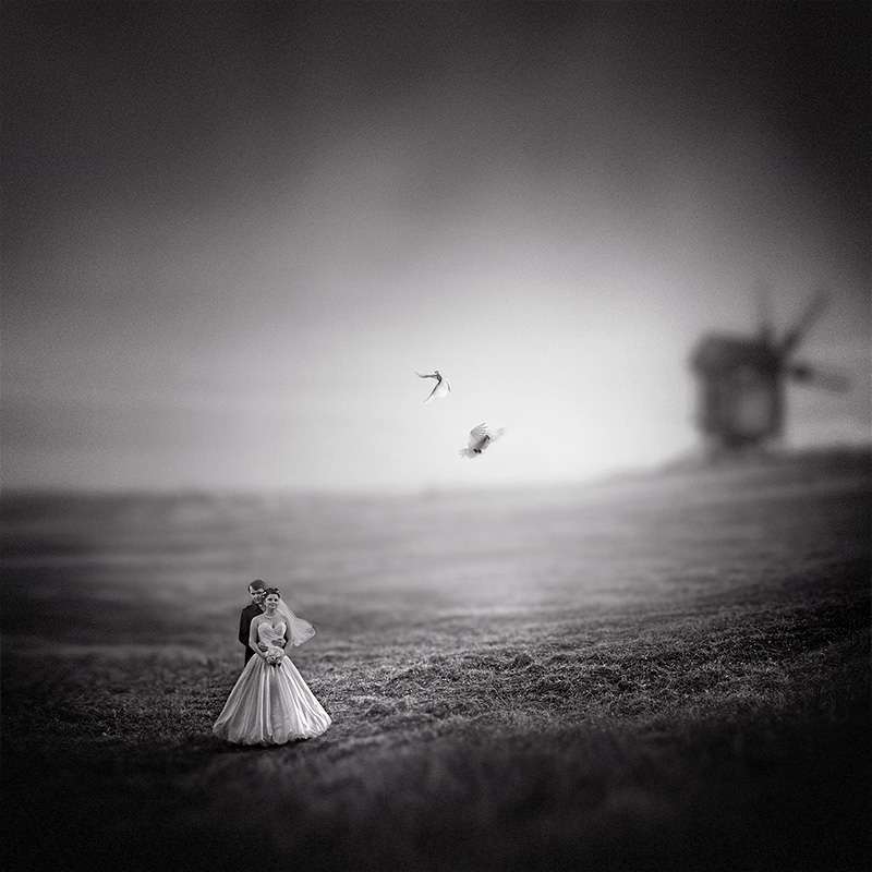 Weddings, photography by Alexander Mikhailenko. canon 5D. In People, Portrait