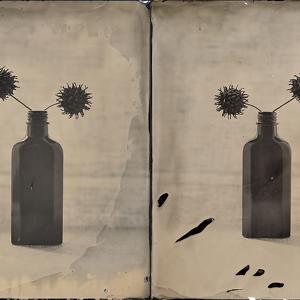 Ambrotype. Twins by Tolstov Vadim