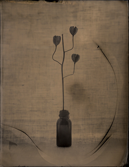 Ambrotype. Formalizm #1, photography by Tolstov Vadim. FKD 18x24. The wetplate collodion process. In Object, Still life