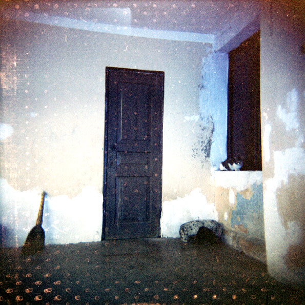 Broom, dog and cat by blue door, photography by Tolstov Vadim. Holga 120CFN. Film Kodak 400NC