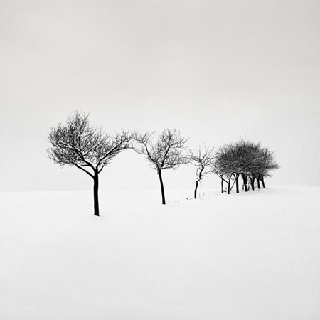 Ten Trees, photography by Serdar Akin. Bolu / Turkey