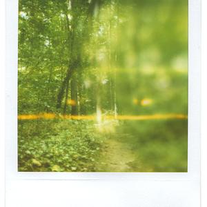 La foret  Thomas Ville