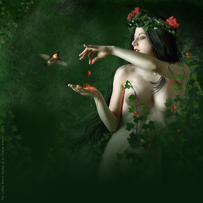 My little berry taste, processing by Anne-claire Payet. For stocks go on my deviantart account : eireen.deviantart.com
thank you :)

&copy; Anne- Claire PAYET 2008
All my work is copyrighted and may NOT be used without my written and expressed permission. photoshop CS3 wacom intuos 2. photomanipulation & digital painting. In People, Character