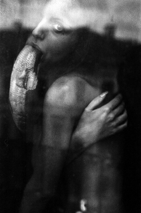 aquarium.2007, photographie de Vitaly Bakhvalov. Image #33105