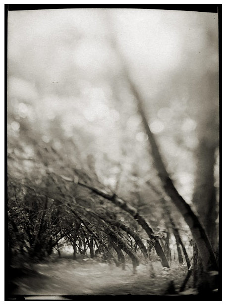 Untitled, photography by Jochen Hartmann. In Nature, Scenery