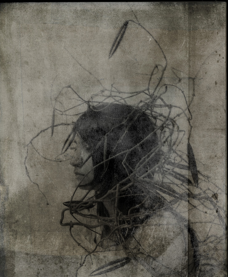 Murakami, image by Katia Chausheva. Image #375179