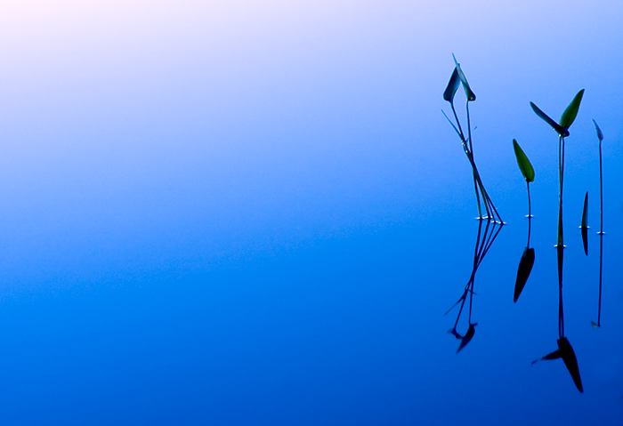 Tango, photography by Daniel Powers. In Nature, Scenery, Waterscape. Tango, photography by Daniel Powers. Image #25545