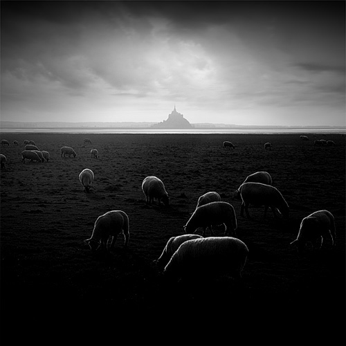 Ombres Et Lumi&egrave;res, photography by Nicolas Evariste. In Nature, Scenery