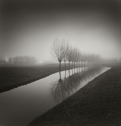 Tree Line, photography by Giedrius Varnas. In Nature, Scenery, Waterscape