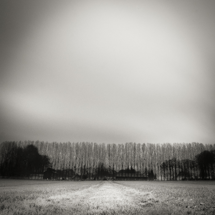 Un dr&ocirc;le de cri
Juste au-dessus de moi
Un h&eacute;ron planant. Dans Nature, Paysage, Campagne. Dentelle, photographie de St&eacute;phane Tihy. Image #372228