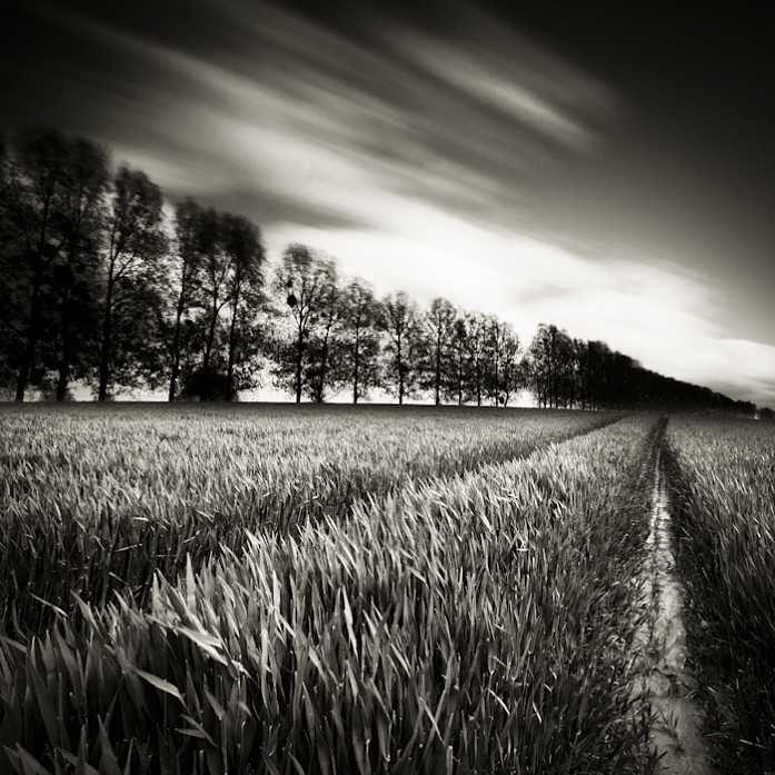 Roues de tracteur
Des guides dans cet oc&eacute;an
De culture
. Dans Nature, Paysage, Campagne. Oc&eacute;an, photographie de St&eacute;phane Tihy. Image #383614