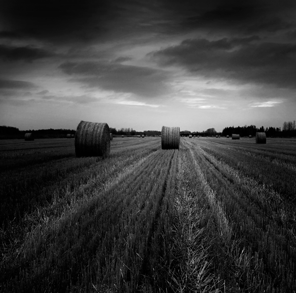 Line Them Up, photography by Tomas Eriksson. If you like you can view more photos from me on: http://www.eriksson-fine-art-photography.com. Sony R1. Digital. In Nature, Scenery, Countryside
