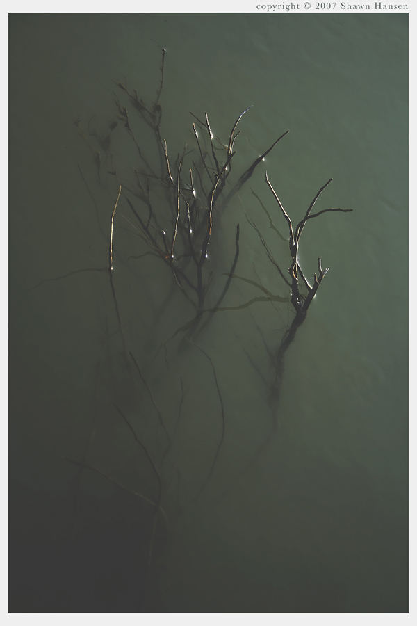 Iphigenia, Artwork by Shawn Hansen. Work from 2007, thanks for looking.

Open edition prints for sell,
Color: http://www.deviantart.com/print/1963734/
B&W: http://www.deviantart.com/print/1963714/