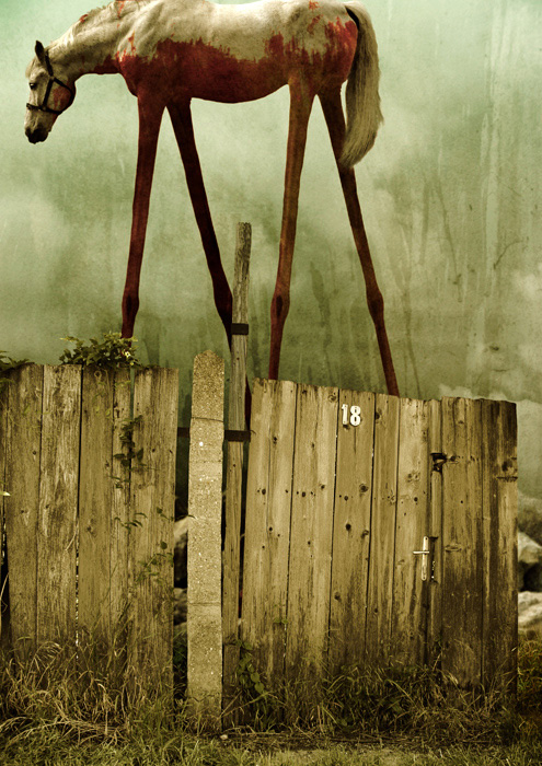 The Painted Horse, processing by Teodoru Badiu. A surreal composition made with photoshop. I wanted to show how lonely and sad could be the world those who are "different".. Nikon D70, Photoshop, PC, Imagination. Digital