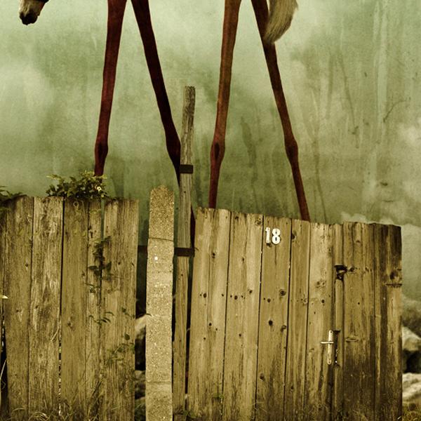 The Painted Horse