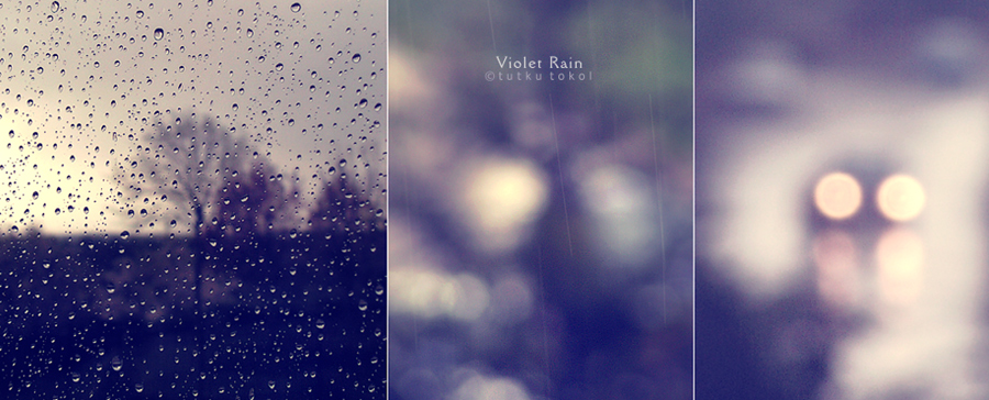 Violet Rain, photography by Tutku Tokol. Ankara/Turkey - April, 2008.. In Nature, Weather