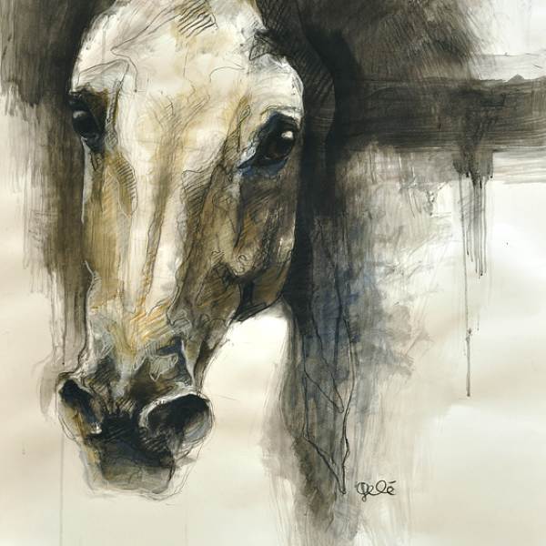 Alerte Vii, drawing by B&eacute;n&eacute;dicte Gel&eacute;. Craie noire et pastels sur papier - 108 x 78 cm. In Nature, Animal