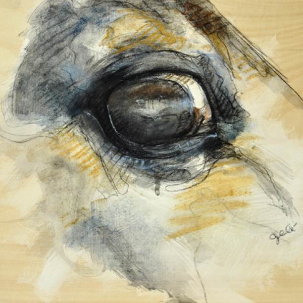 Regard Xvii, drawing by B&eacute;n&eacute;dicte Gel&eacute;. Craie noire, pastels et gesso sur bois - 25 x 25 cm. In Nature, Animal