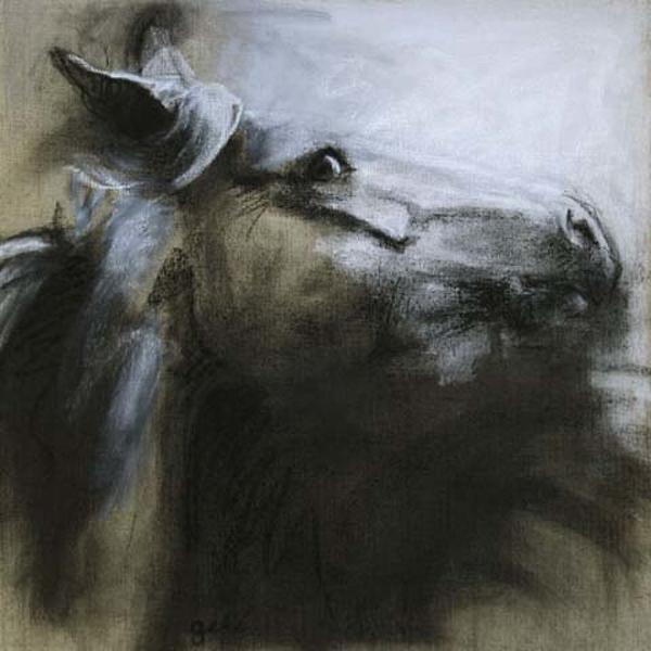 CHEVAL 1, painting by B&eacute;n&eacute;dicte Gel&eacute;. Technique mixte sur toile de lin - 50 x 50 cm. In Nature, Animal